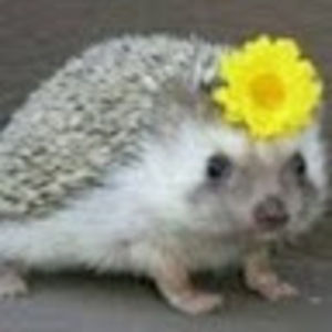 Meet your Posher, Mary jane